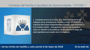 poster Comisión de Familia e Igualdad de Oportunidades - 556 T