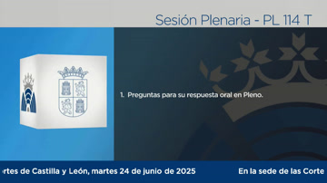 poster Pleno - 114T