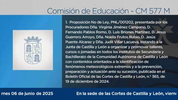 poster Comisión de Educación - 577 M