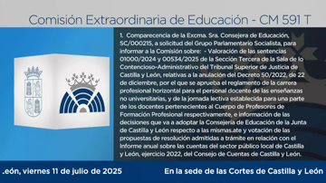 poster Sesión Extraordinaria Comisión de Educación - 591 M