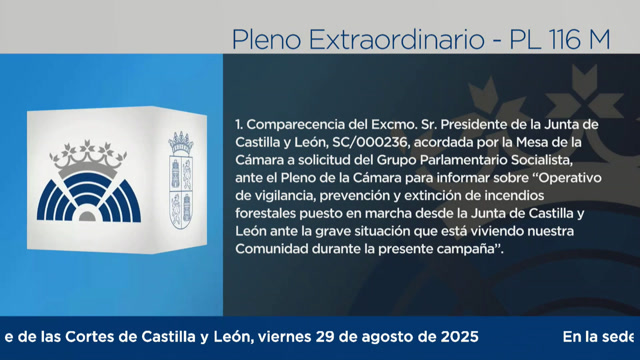 poster Pleno Extraordinario - 116M