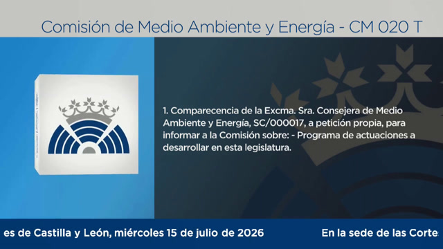 poster Comisión de Medio Ambiente y Energía - 020T