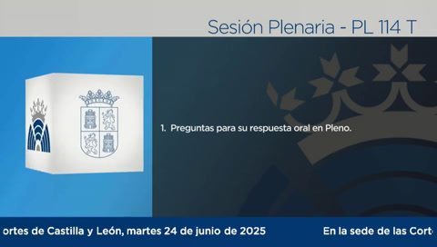 Pleno - 114T
